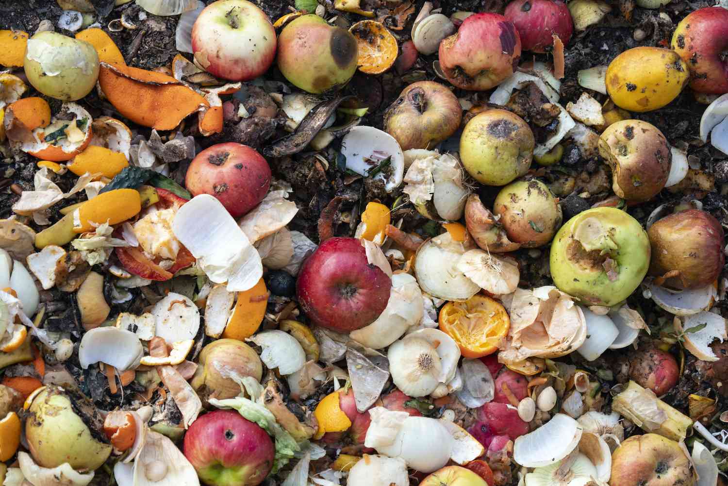 How Organic Waste Affect the Environment