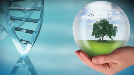 How Do Genes and the Environment Interact? 