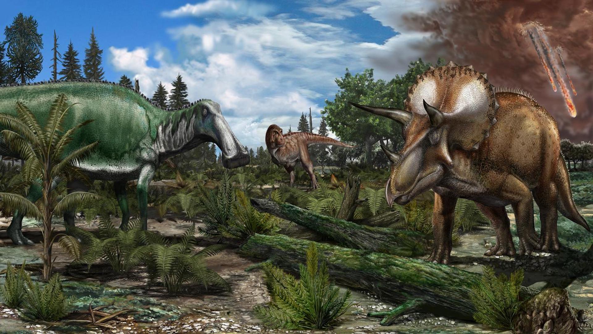 What Environment Did Dinosaurs Live In? 