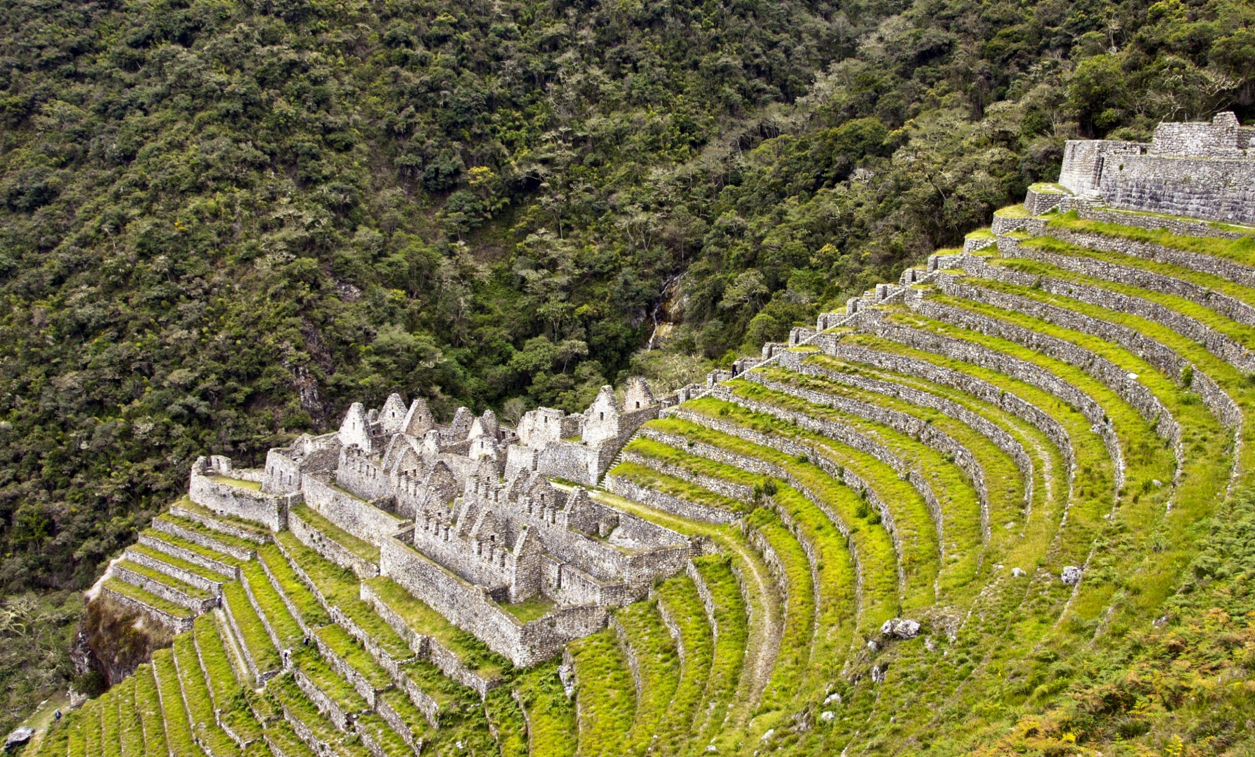 Planted crops on the steep peaks of the Andes at the ruins of Winay Wayna in Peru. 