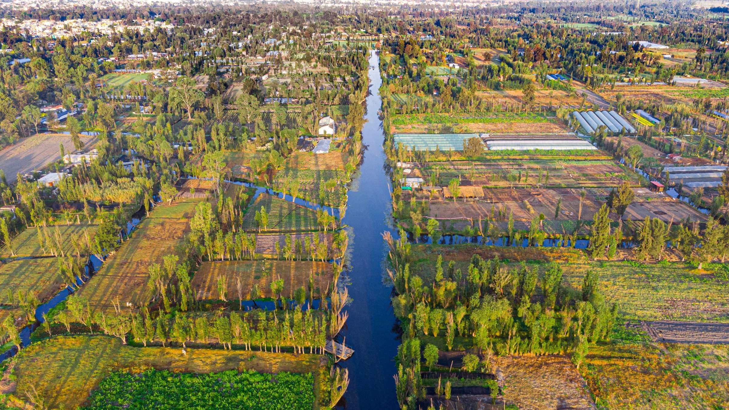 Chinampas in Mexico