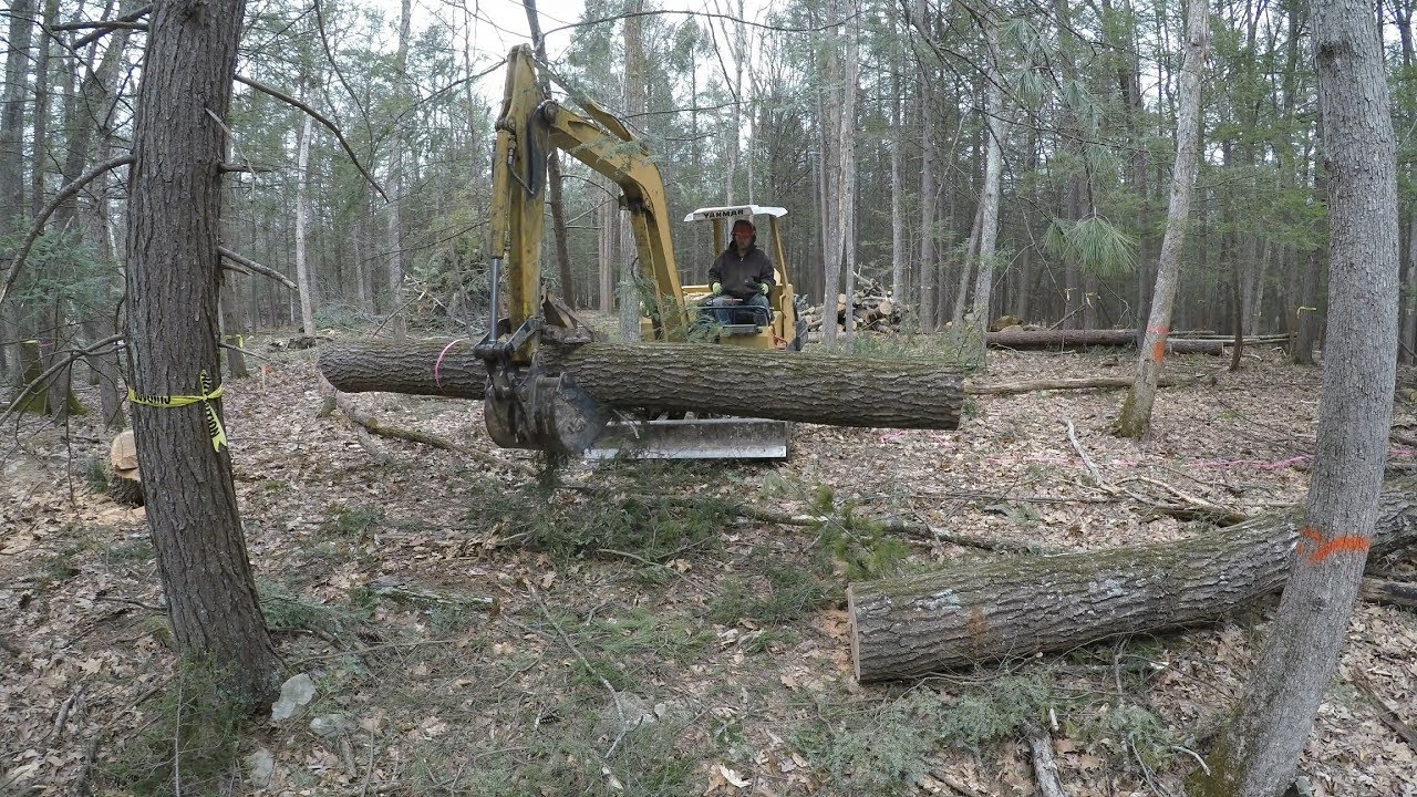 Clearing land for a construction site