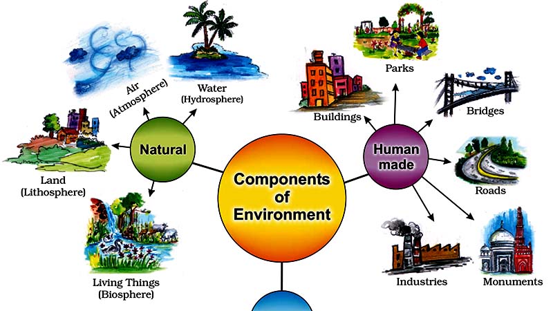 Components of Environment