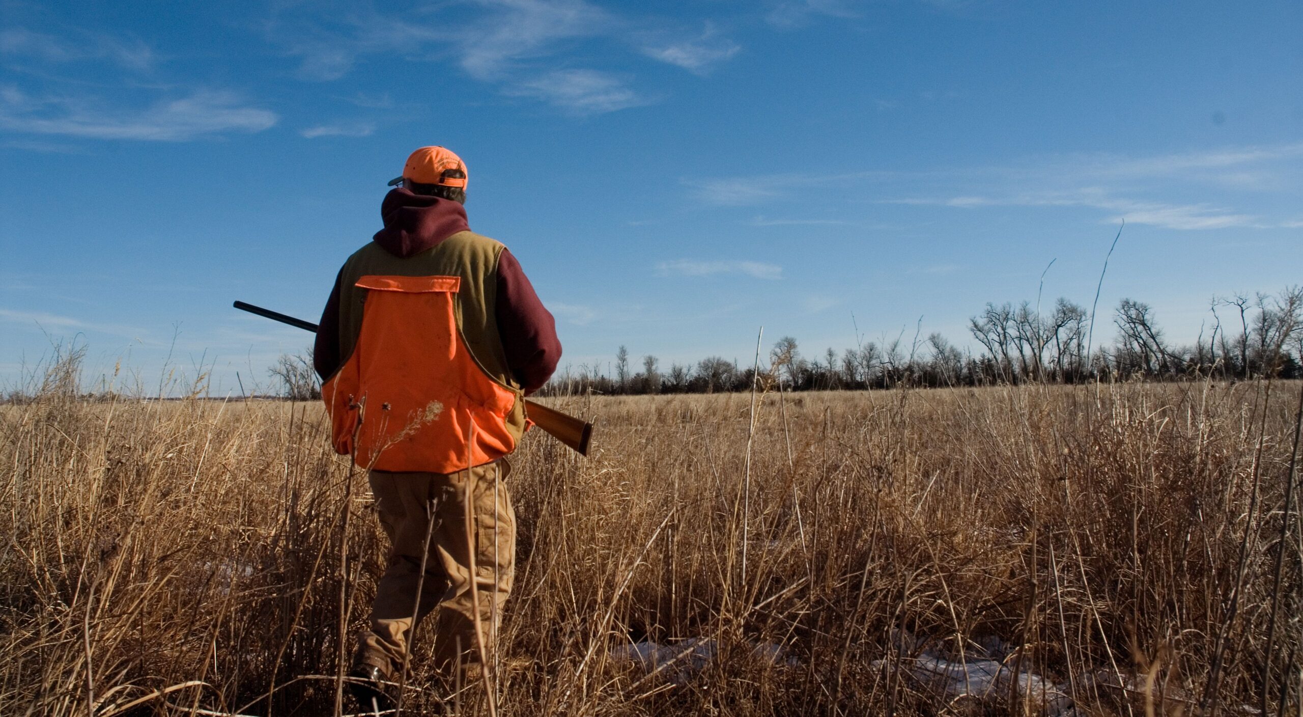 How Does Overhunting Affect the Environment?