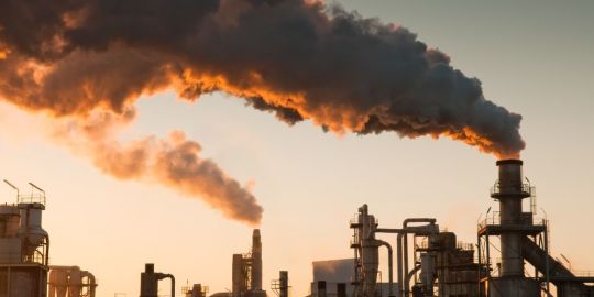 How Do Humans Impact the Environment?