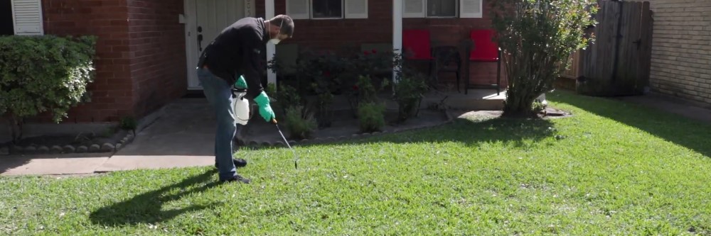 Man spraying his lawn with Tenacity