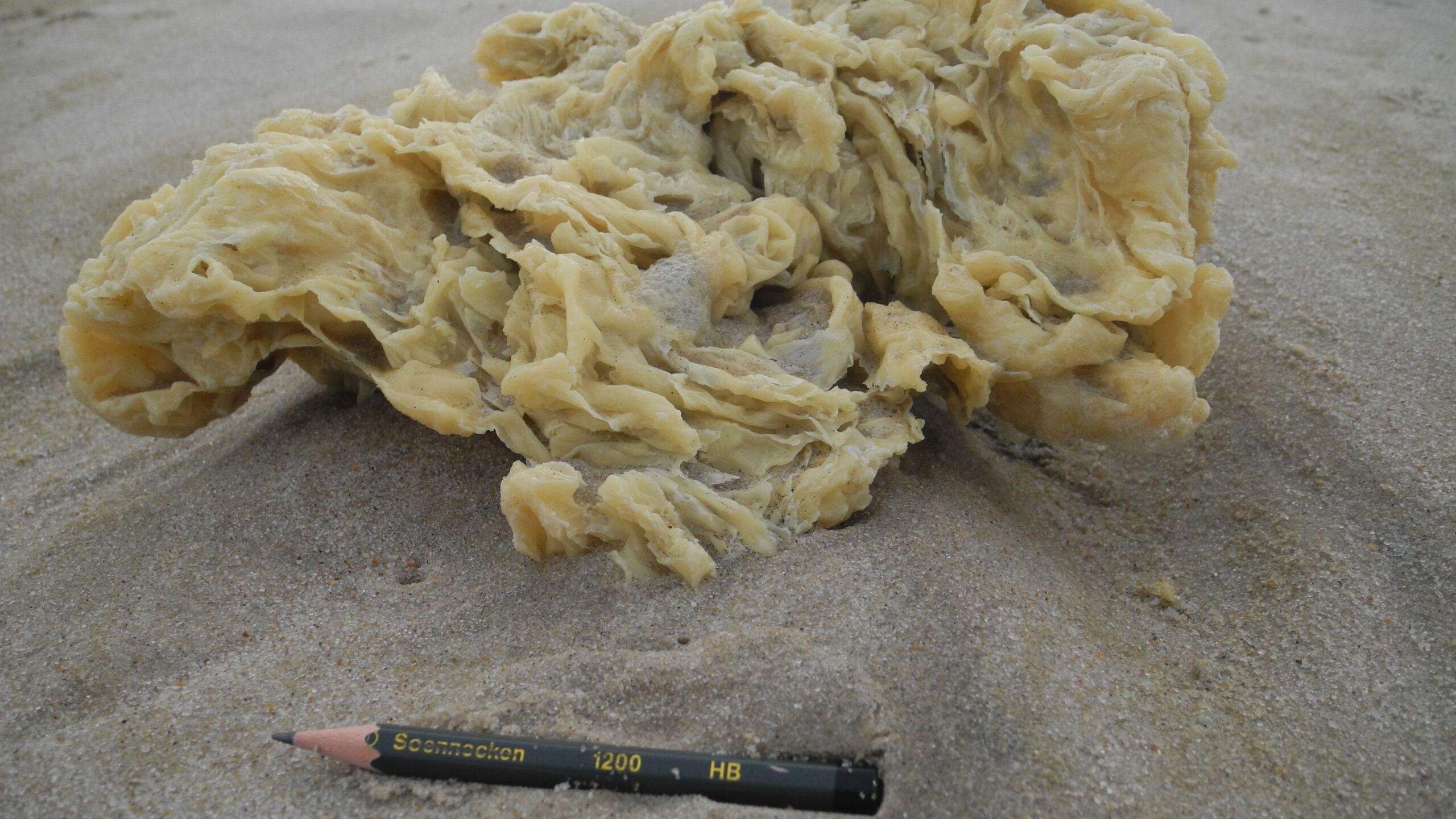 Paraffin wax found in the ocean