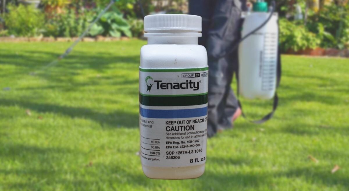 Tenacity herbicide