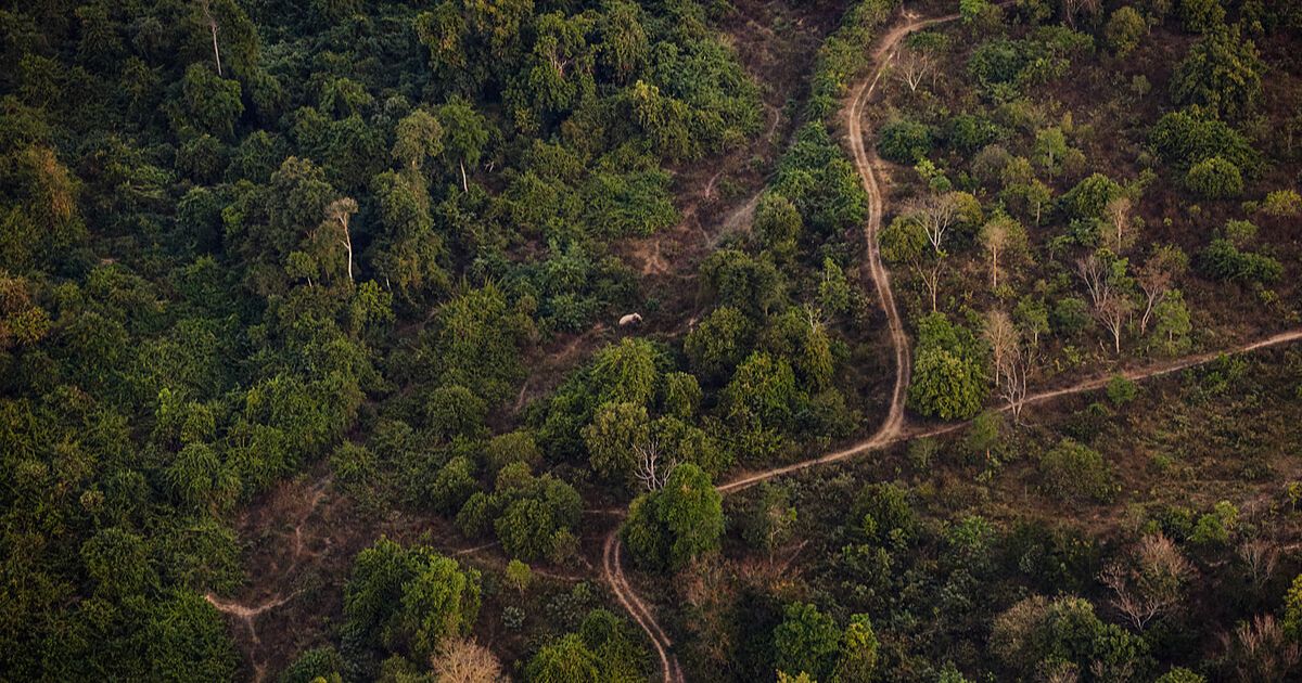 How Do Human Activities Impact Mexico's Environment? 