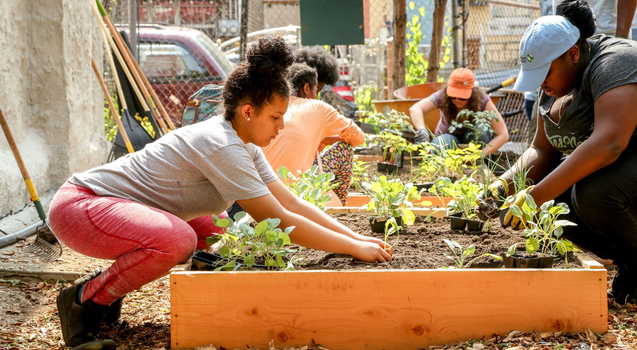 Women planting crops inside a community garden