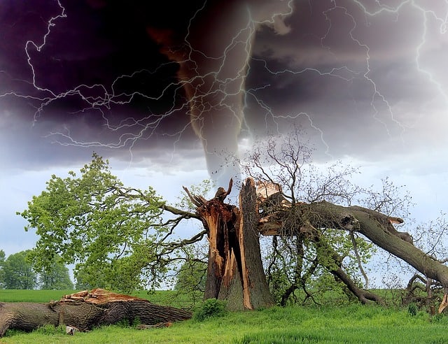 How Do Tornadoes Affect the Environment?