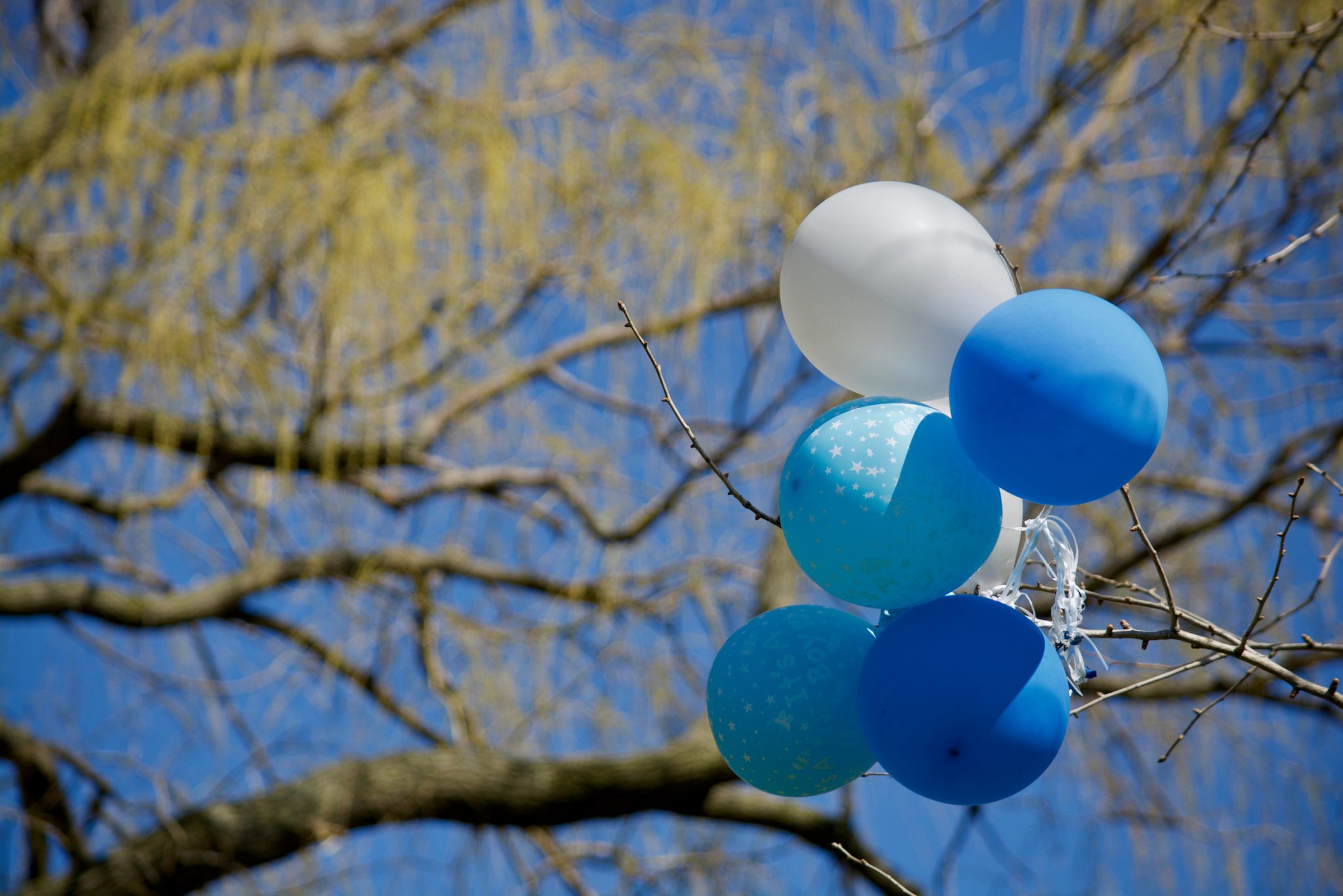 Why is Releasing Balloons Bad for the Environment?