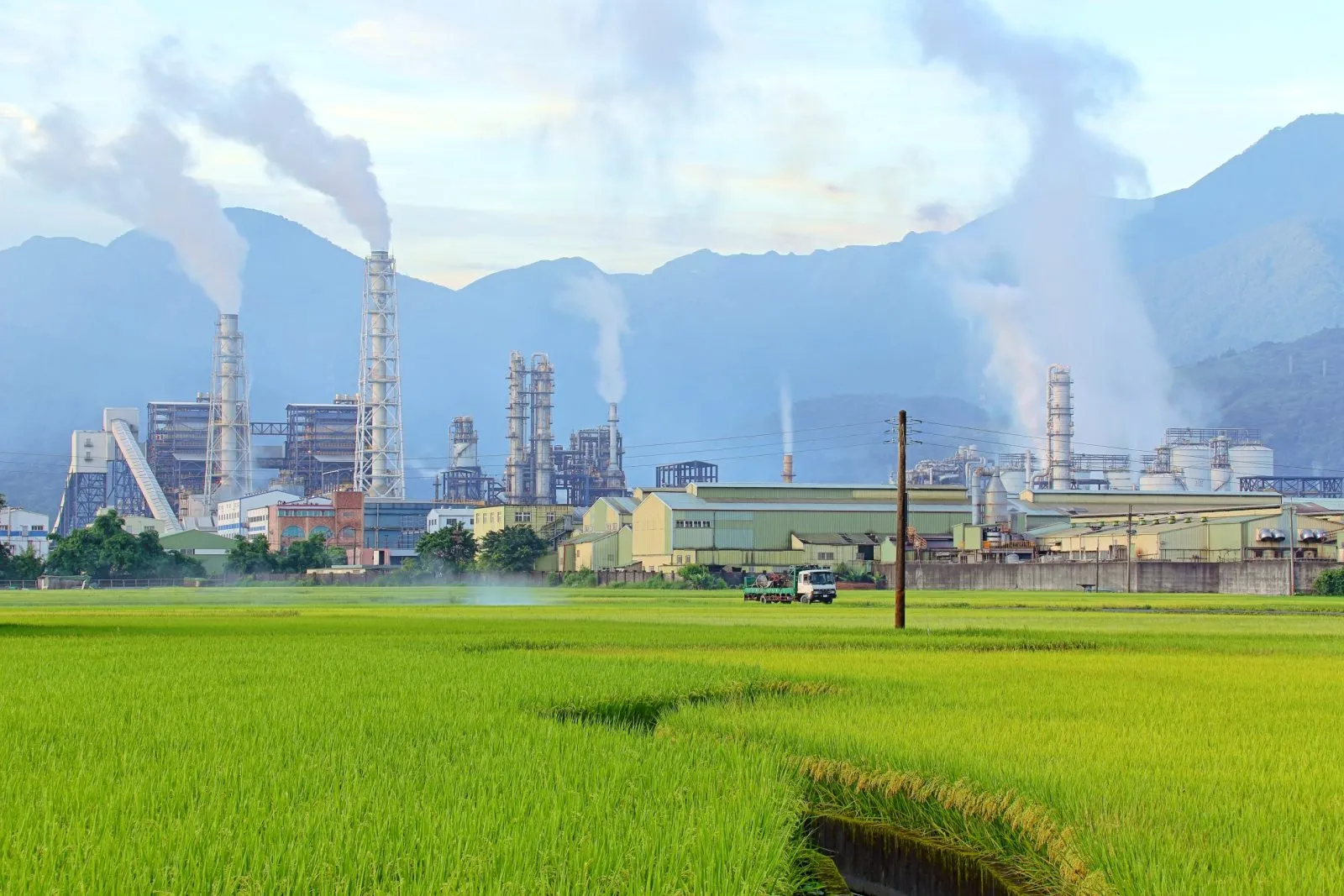 How Does Industrial Agriculture Affect the Environment? 