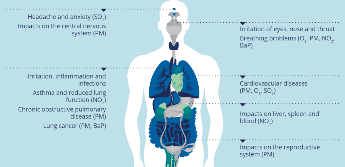 Air Pollution Impacts on Health