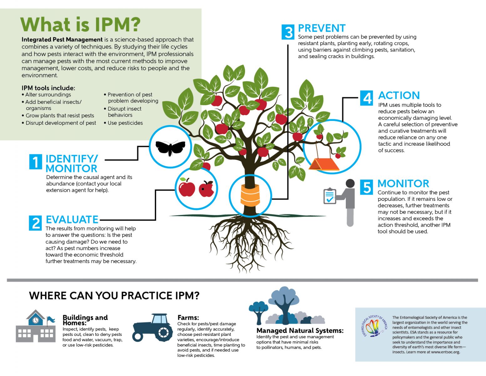 Integrated Pest Management Techniques