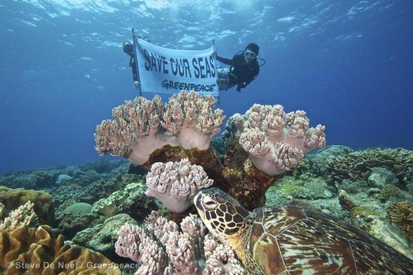 Protect Marine Life