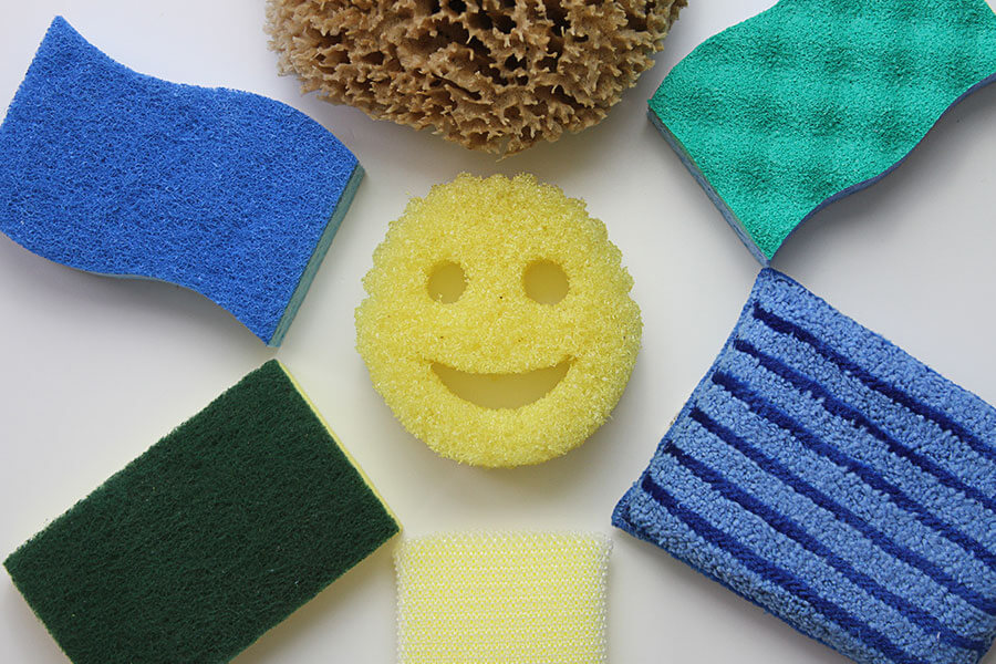 different types of sponges