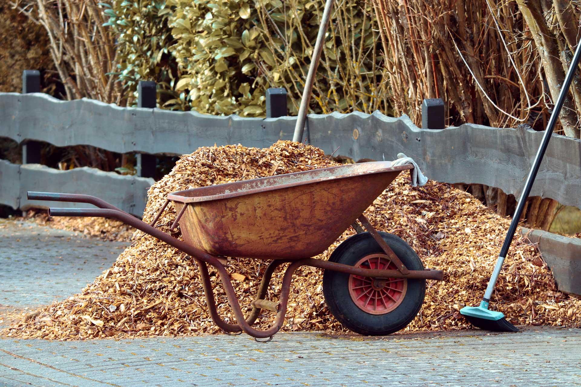 fallen leaves as mulch