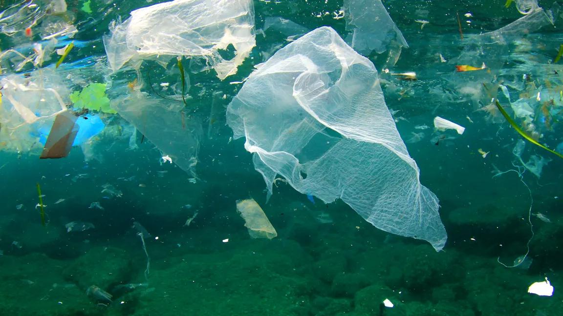 plastic pollution