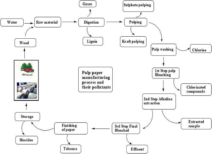 pollutants released during paper processing and burning