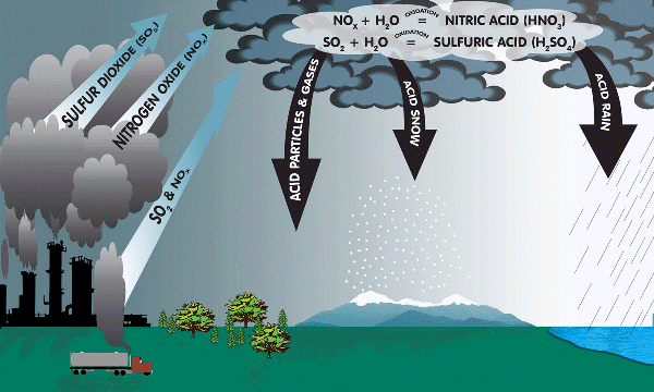 rain and air pollution