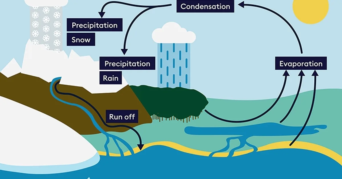 water cycle