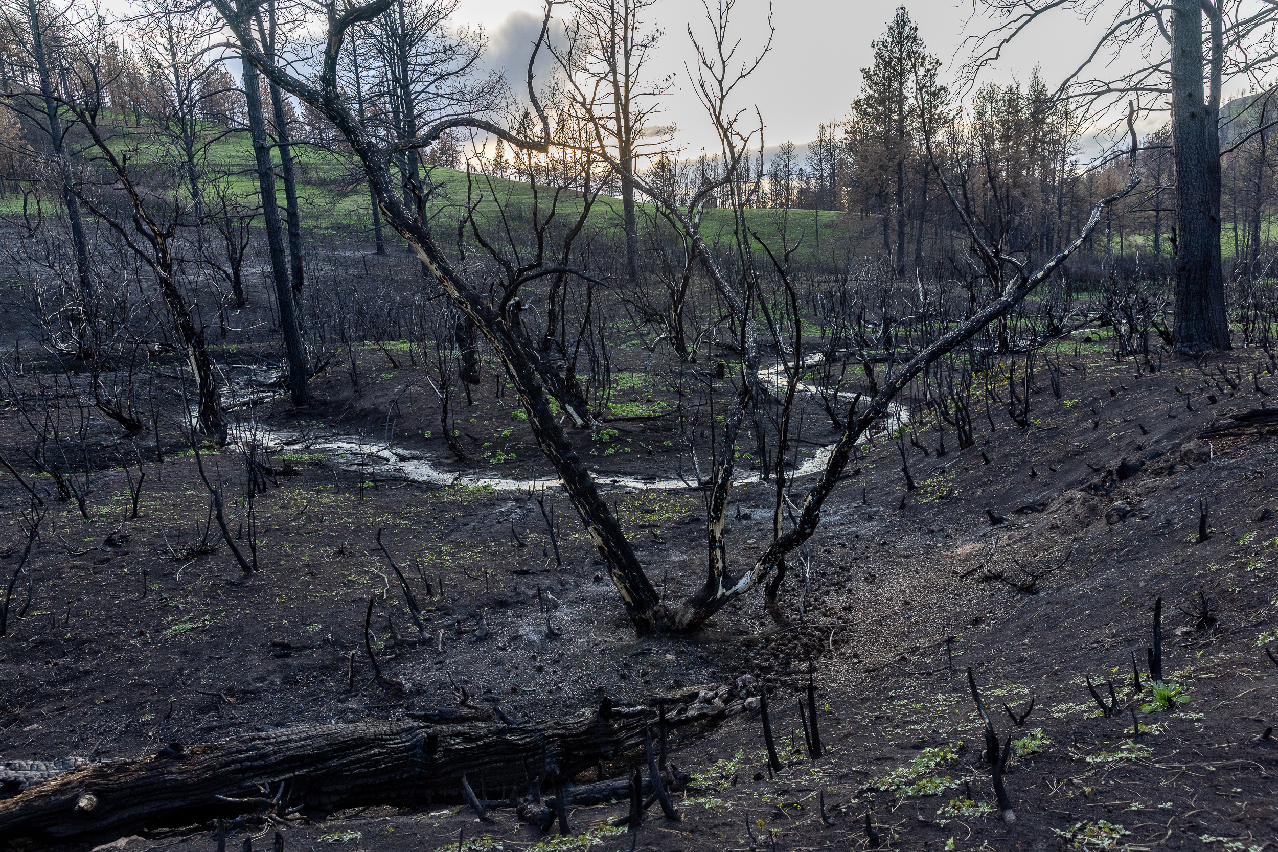 wildfire errosion and land devastation