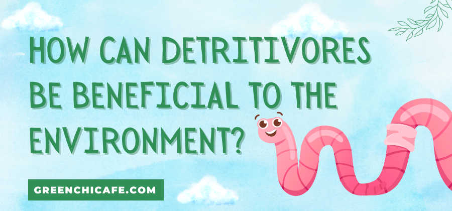 How Can Detritivores Be Beneficial to the Environment?