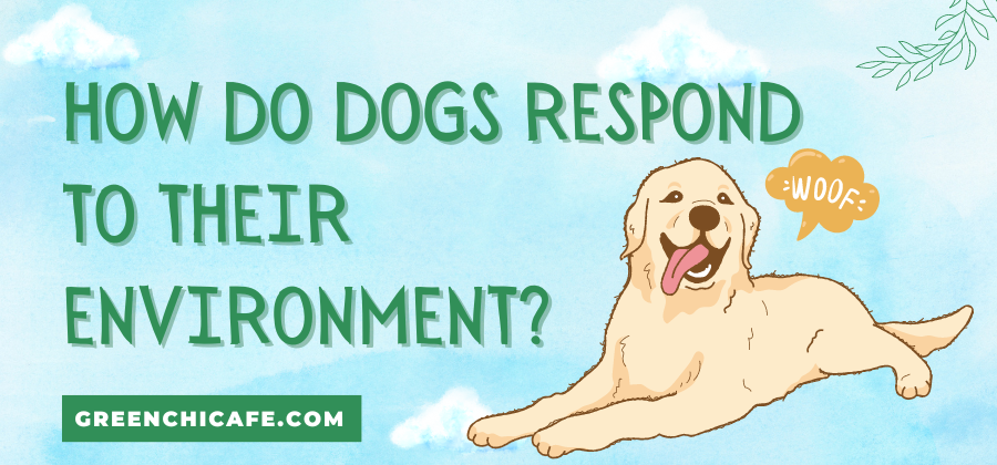 How Do Dogs Respond to Their Environment?