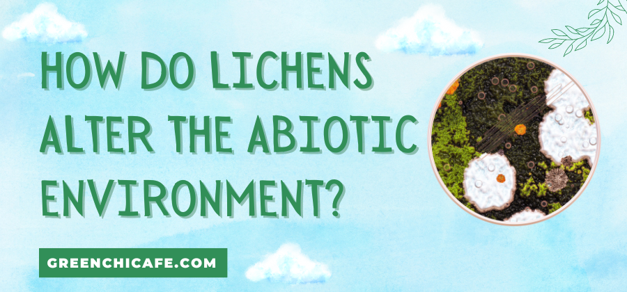 How do Lichens Alter the Abiotic Environment