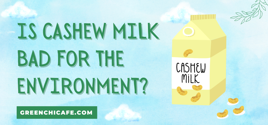 Is Cashew Milk Bad for the Environment