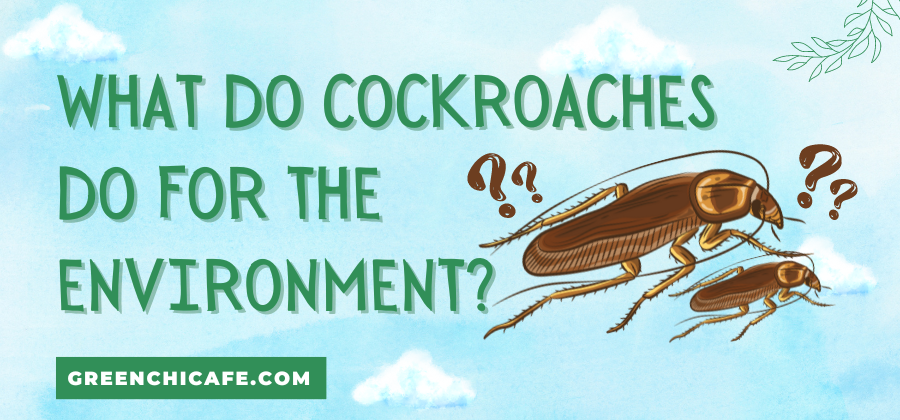 What Do Cockroaches Do For The Environment