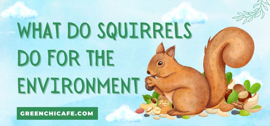 What Do Squirrels Do for the Environment