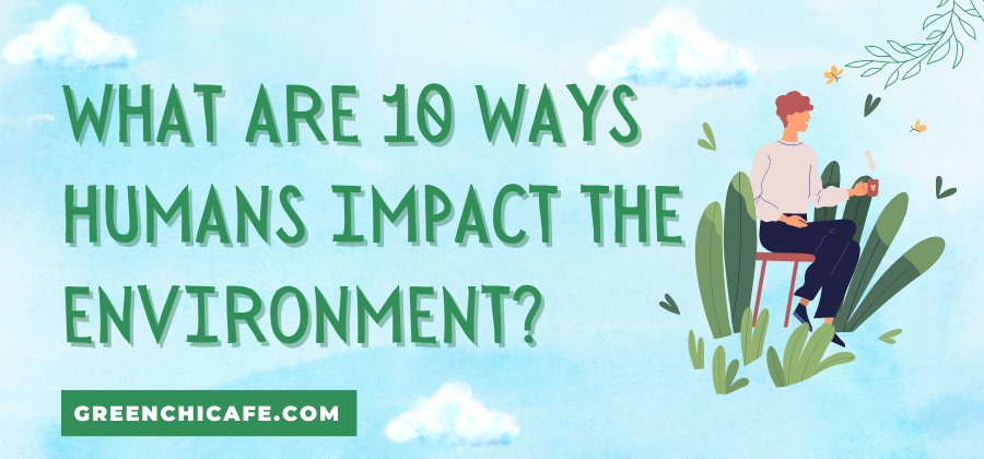 What are 10 Ways Humans Impact the Environment?