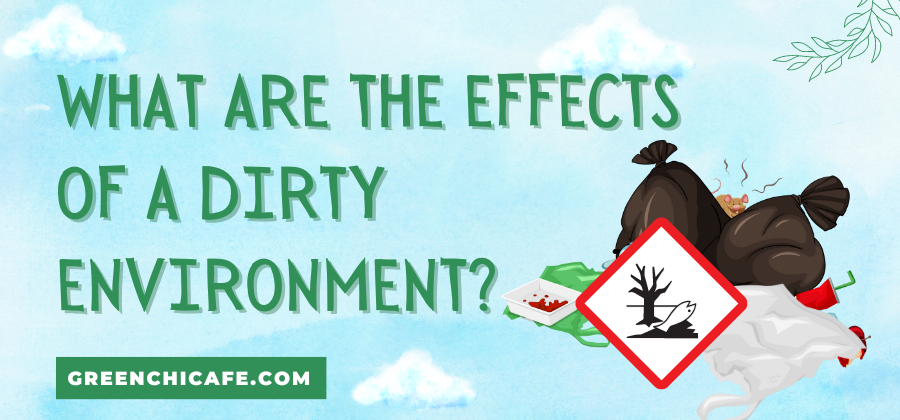 What are the Effects of a Dirty Environment?