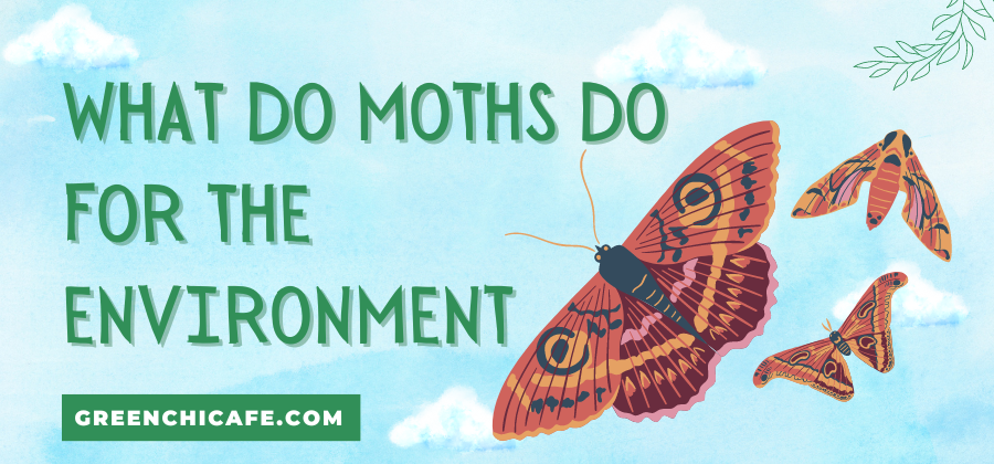 What do Moths do for the Environment