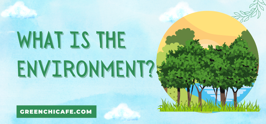 What is the Environment? (Full Definition)