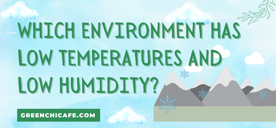 Which Environment has Low Temperatures and Low Humidity