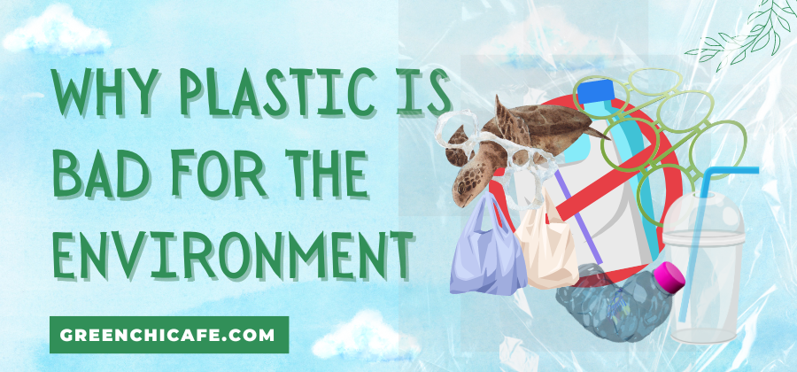 Why Plastic is Bad for the Environment