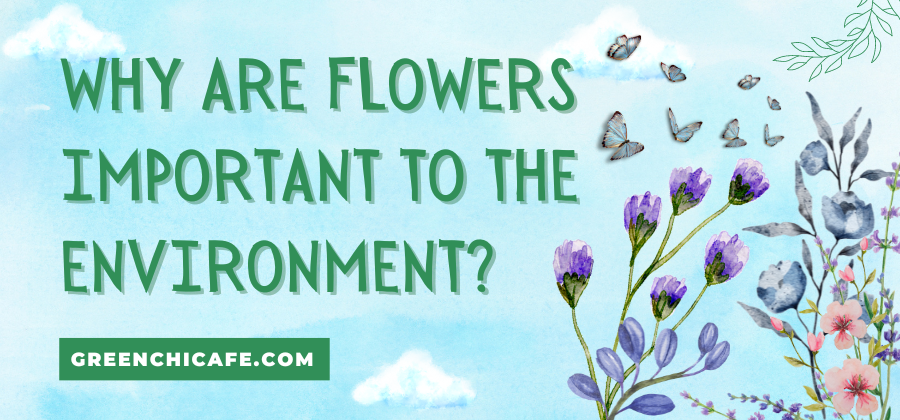 Why are Flowers Important to the Environment