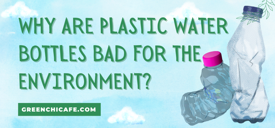 Why are Plastic Water Bottles Bad for the Environment? (Full Detailed Explanation)