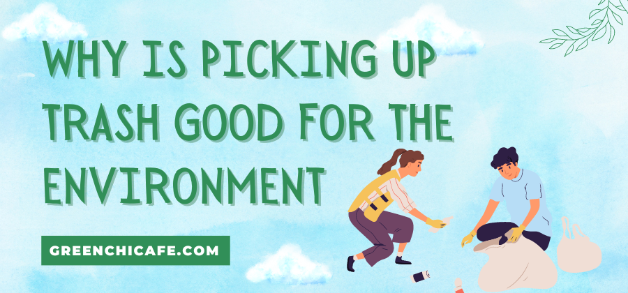 Why is Picking Up Trash Good for the Environment?
