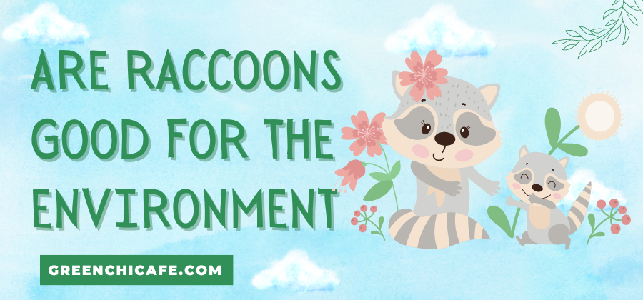 are raccoons good for the environment