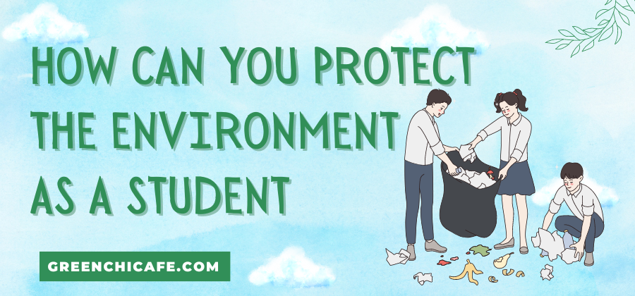 How Can You Protect the Environment as a Student? Here’s How!