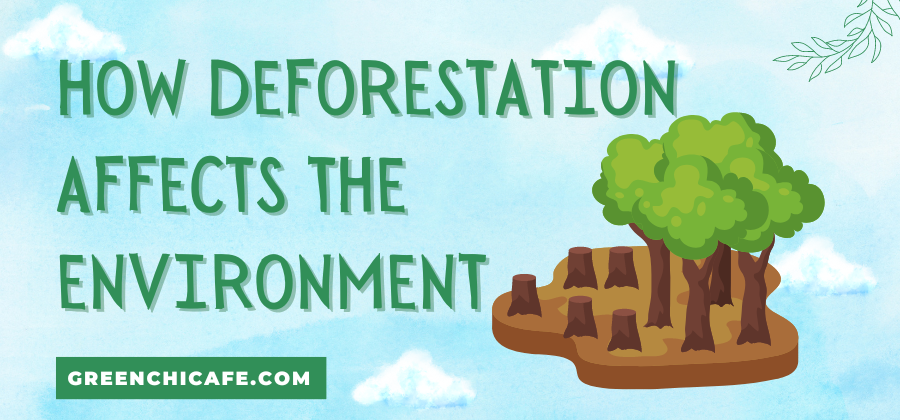 how deforestation affects the environment