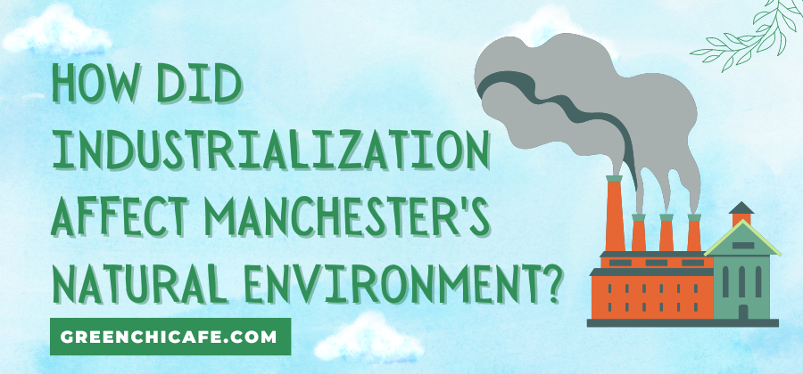 How Did Industrialization Affect Manchester’s Natural Environment?