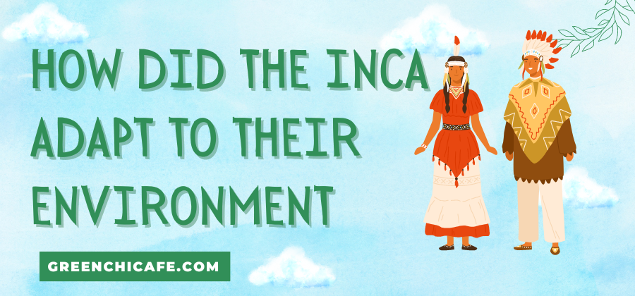 how did the inca adapt to their environment