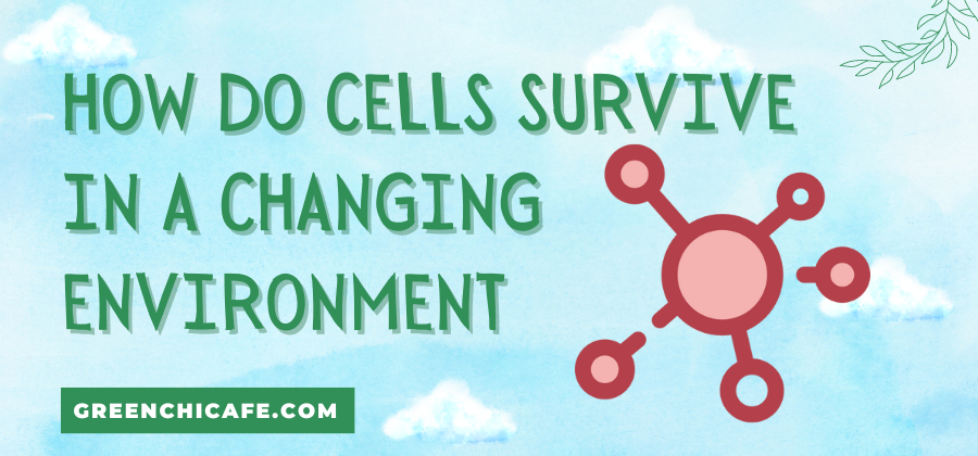 how do cells survive in a changing environment