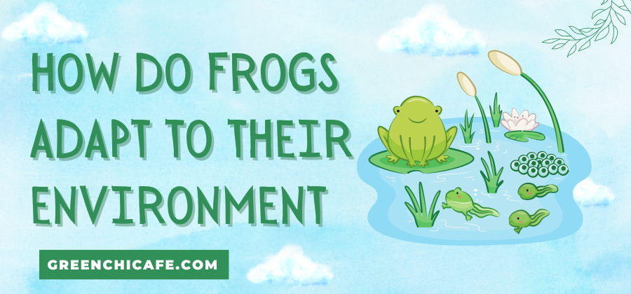 how do frogs adapt to their environment