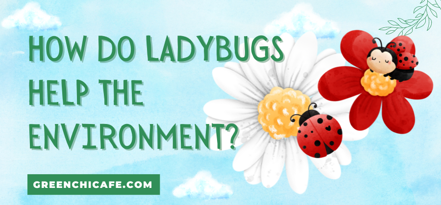 how do ladybugs help the environment